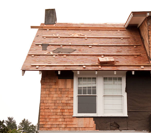 Affordable Siding Repair and Maintenance Services in Warren, OH